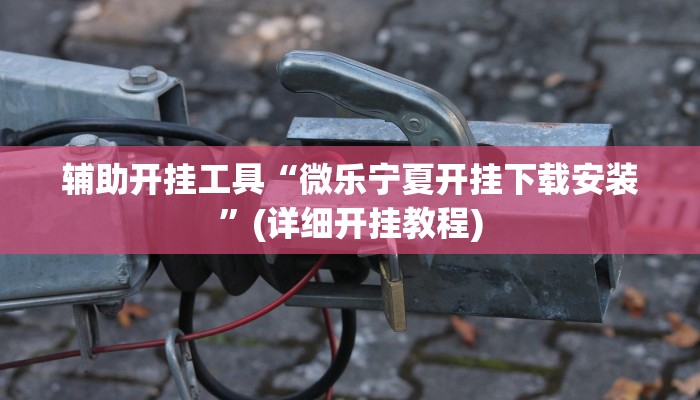辅助开挂工具“微乐宁夏开挂下载安装”(详细开挂教程)