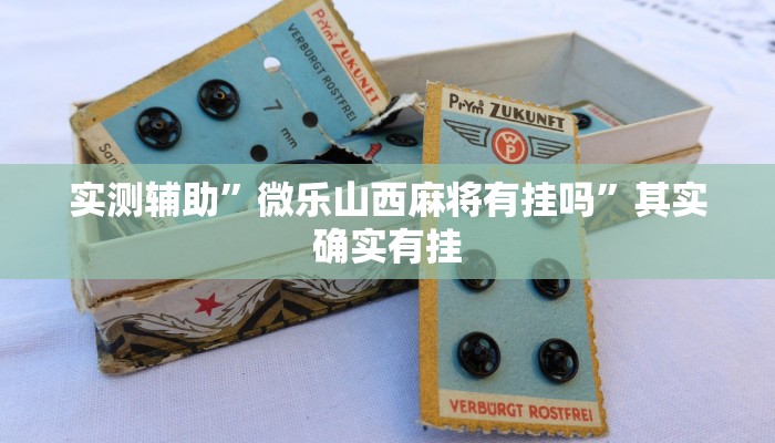 实测辅助”微乐山西麻将有挂吗”其实确实有挂
