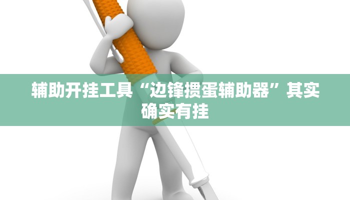 辅助开挂工具“边锋掼蛋辅助器”其实确实有挂