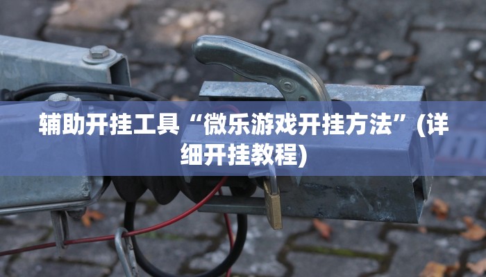 辅助开挂工具“微乐游戏开挂方法”(详细开挂教程)