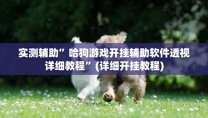 实测辅助”哈狗游戏开挂辅助软件透视详细教程”(详细开挂教程)