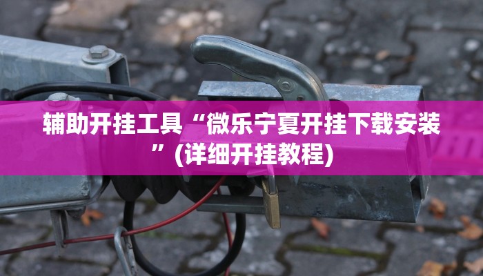 辅助开挂工具“微乐宁夏开挂下载安装”(详细开挂教程)
