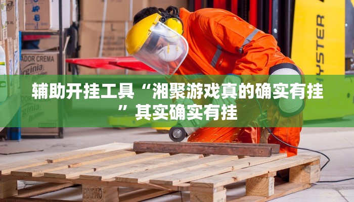 辅助开挂工具“湘聚游戏真的确实有挂”其实确实有挂