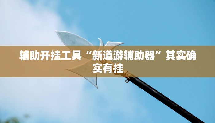 辅助开挂工具“新道游辅助器”其实确实有挂