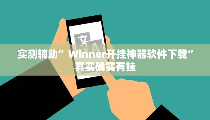实测辅助”Winner开挂神器软件下载”其实确实有挂