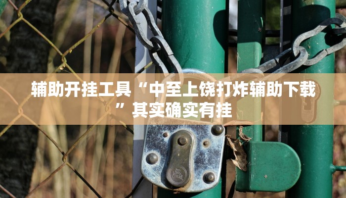 辅助开挂工具“中至上饶打炸辅助下载”其实确实有挂
