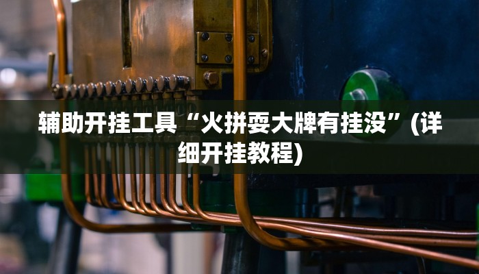 辅助开挂工具“火拼耍大牌有挂没”(详细开挂教程)
