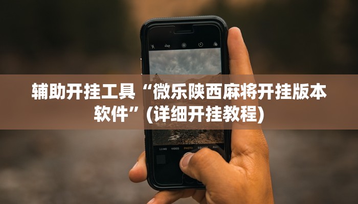 辅助开挂工具“微乐陕西麻将开挂版本软件”(详细开挂教程)