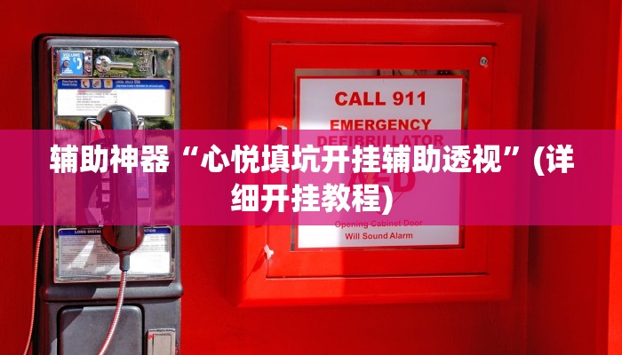 辅助神器“心悦填坑开挂辅助透视”(详细开挂教程)