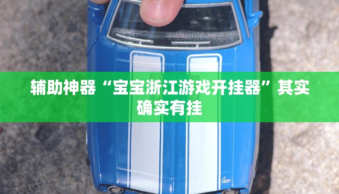 辅助神器“宝宝浙江游戏开挂器”其实确实有挂