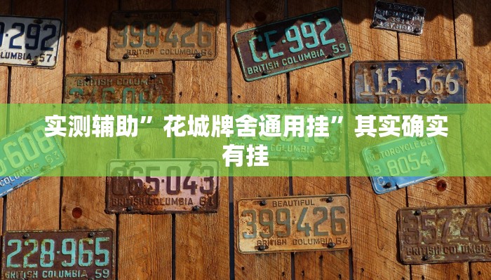 实测辅助”花城牌舍通用挂”其实确实有挂