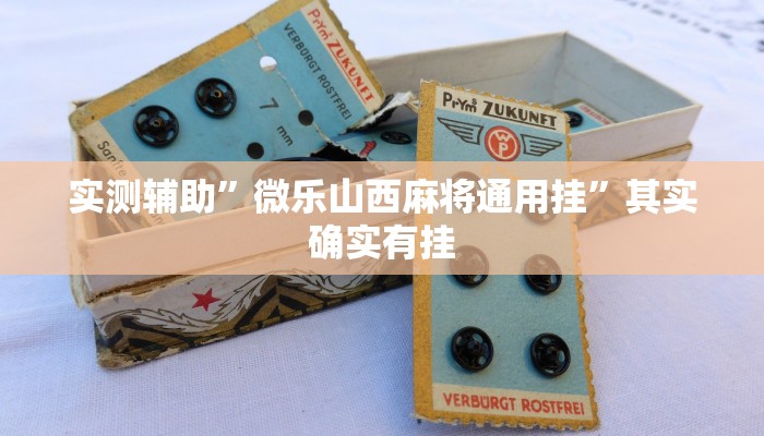 实测辅助”微乐山西麻将通用挂”其实确实有挂