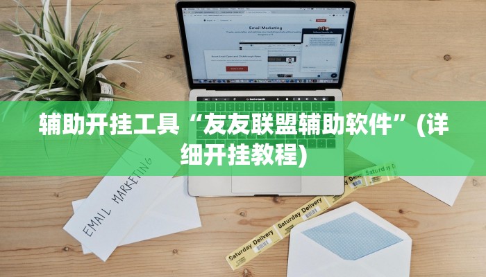 辅助开挂工具“友友联盟辅助软件”(详细开挂教程)
