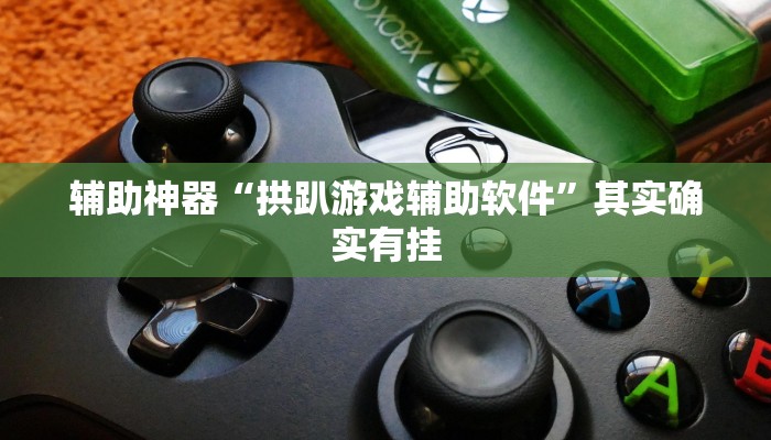 辅助神器“拱趴游戏辅助软件”其实确实有挂