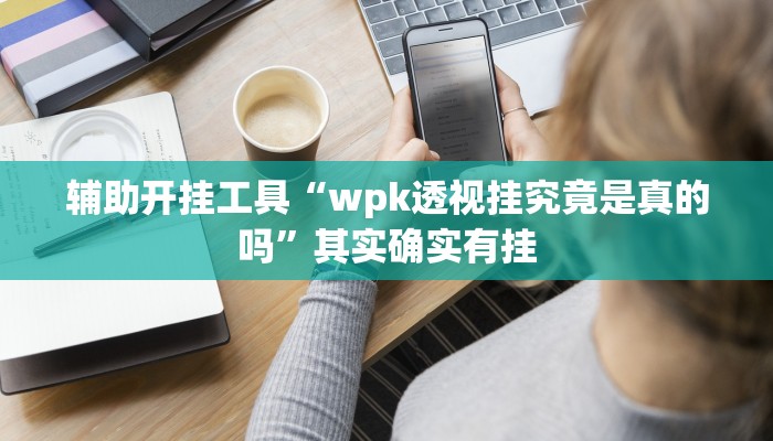 辅助开挂工具“wpk透视挂究竟是真的吗”其实确实有挂