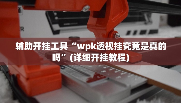 辅助开挂工具“wpk透视挂究竟是真的吗”(详细开挂教程)