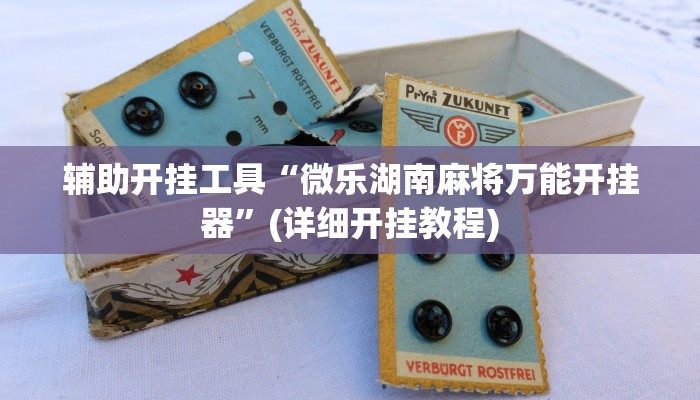 辅助开挂工具“微乐湖南麻将万能开挂器”(详细开挂教程)