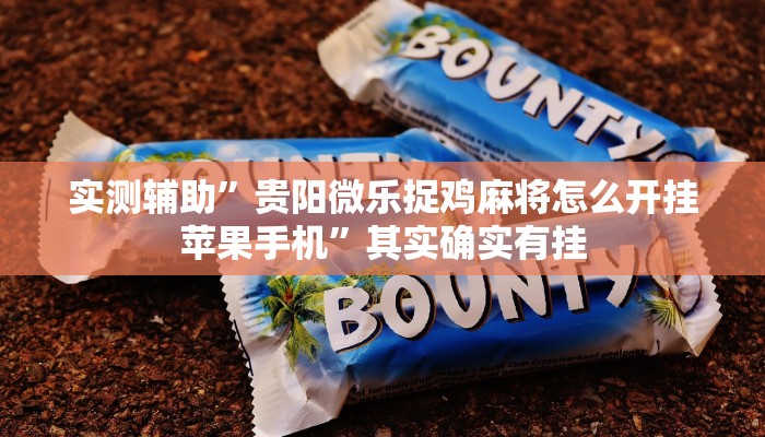 实测辅助”贵阳微乐捉鸡麻将怎么开挂苹果手机”其实确实有挂