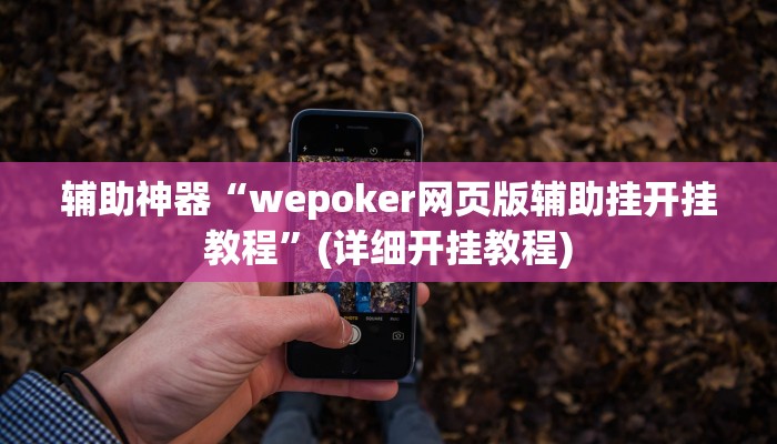 辅助神器“wepoker网页版辅助挂开挂教程”(详细开挂教程)
