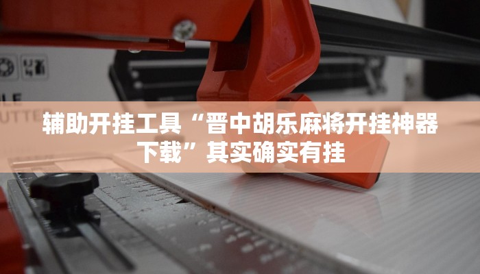 辅助开挂工具“晋中胡乐麻将开挂神器下载”其实确实有挂