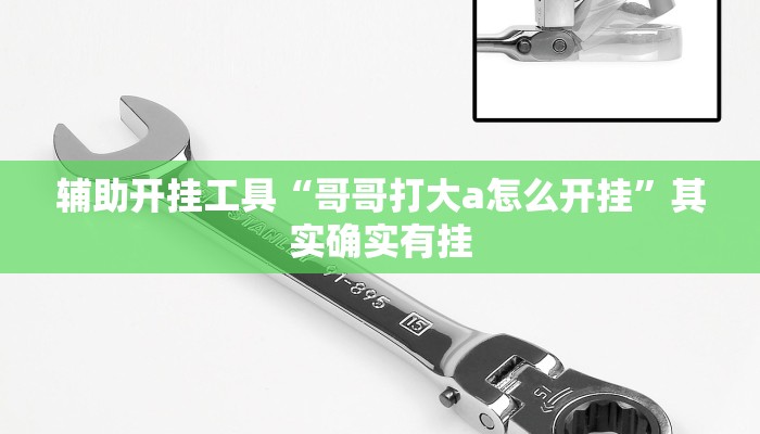 辅助开挂工具“哥哥打大a怎么开挂”其实确实有挂
