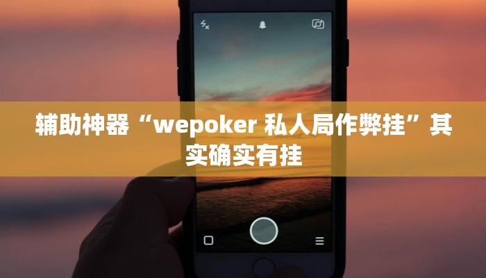 辅助神器“wepoker 私人局作弊挂”其实确实有挂